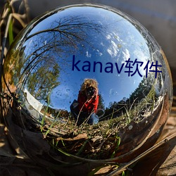 kanav软件