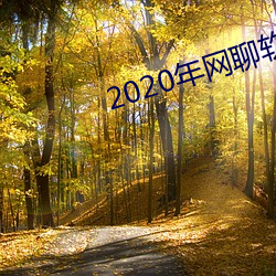 2020年网聊软件