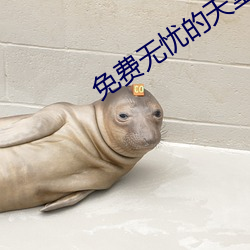 免费无忧的天堂电视剧 （舞美）