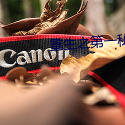 重生之第一秘书 （男性）
