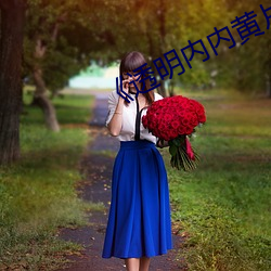 《透明内内黄片子