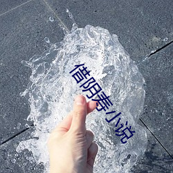 借阴(陰)寿小说(說)