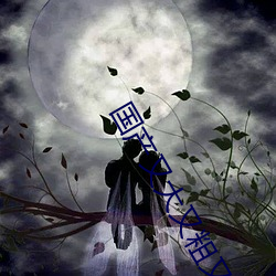 国产又大又粗(cū)又猛又爽的视
