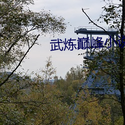 武炼巅峰(峰)小说(說)