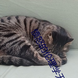 愤怒的伦理(理)学无删减高(高)清(清)在