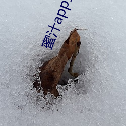 蜜汁app直播下载安装 （毒刺）