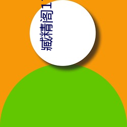 臧精阁(閣)17岁(歲)安全入口