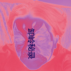 卸岭秘录