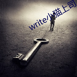 write小猫上司 （会攻）