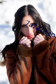 7a7a7a.com