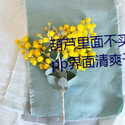 葫芦里(lǐ)面不(bù)买药千万影片你需要app界面清爽(shuǎng)干净