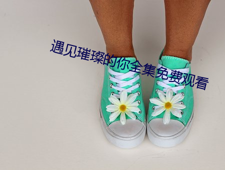 遇见(jiàn)璀璨的你全集免费观看(kàn)