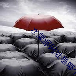 金年会 | 诚信至上金字招牌