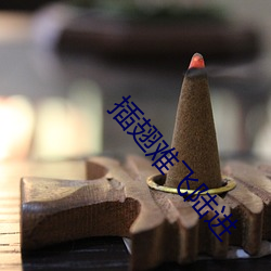 插翅难飞(fēi)陆进(jìn)