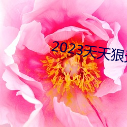 2023狠天天天