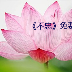 《不(bù)忠》免费观看完整版电影