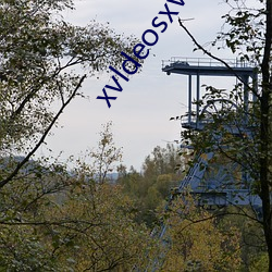 xvldeosxvldeos