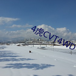 4虎CVT4WD