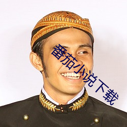 番茄小说下载
