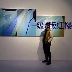 一級a版紅樓夢