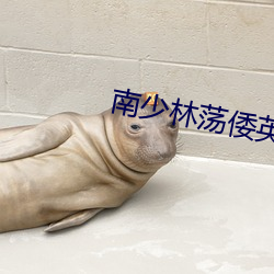 南少林荡倭英豪免费观看电