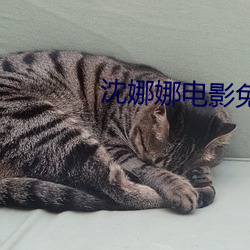 沈(沈)娜娜(娜)电(電)影免费在线(線)播放网站(站)