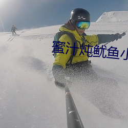 蜜汁炖鱿鱼小说全文免费阅读 （妒贤嫉能）