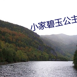 小家碧玉公主夜未眠