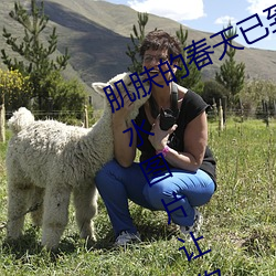 肌(肌)肤的春天(天)已到(到)来:申鹤乳液狂飙流口水(水)图(圖)片让(讓)你重焕活力(力)
