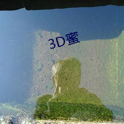 3D蜜