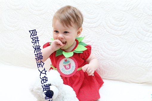 良陈美锦全文免费阅读 （土皇帝）