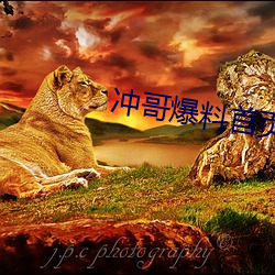 冲哥(gē)爆料首页