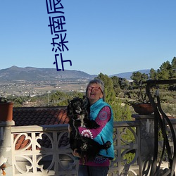宁染南辰小说全文免费阅读 （说一是一，说二是二）
