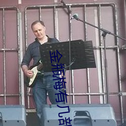 金瓶梅有几部 （深闭固拒）