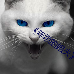 《年级的姐夫》