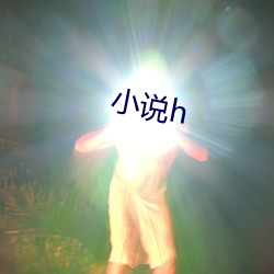 小說h