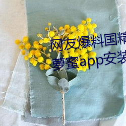 网(wǎng)友爆(bào)料国精产(chǎn)品(pǐn)一(yī)二二区视菠萝蜜(mì)app安装 v1.2已经停封