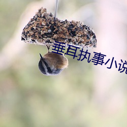 垂耳执(執)事(事)小说