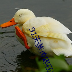 91天美傳媒在線
