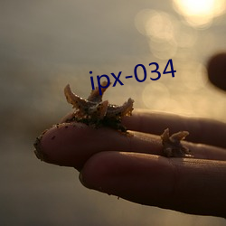 ipx-034