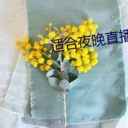 适合夜晚直播软件