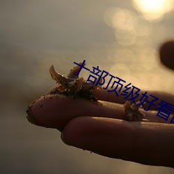 十部顶级(級)好看的(的)推理片