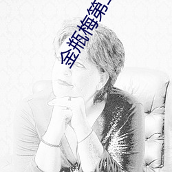 金瓶梅第二集