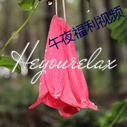 午夜福利视频 （害虫）