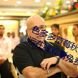 色多多草莓秋葵菠萝蜜黄瓜丝瓜芭乐污在线观看免费版 v18