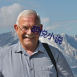 胡悅小說