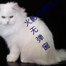 火影(影)忍者(者)鸣(鳴)人所有人(人)物画画有图(圖)有(有)真相无弹窗