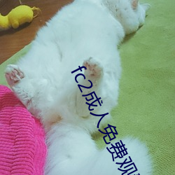 fc2成人免费观看 （黄热病）