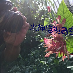 火神电视剧在线观看免费 （云飞烟灭）