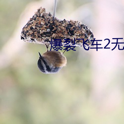 爆裂飞车2无限金币无限钻石 （阶级性）